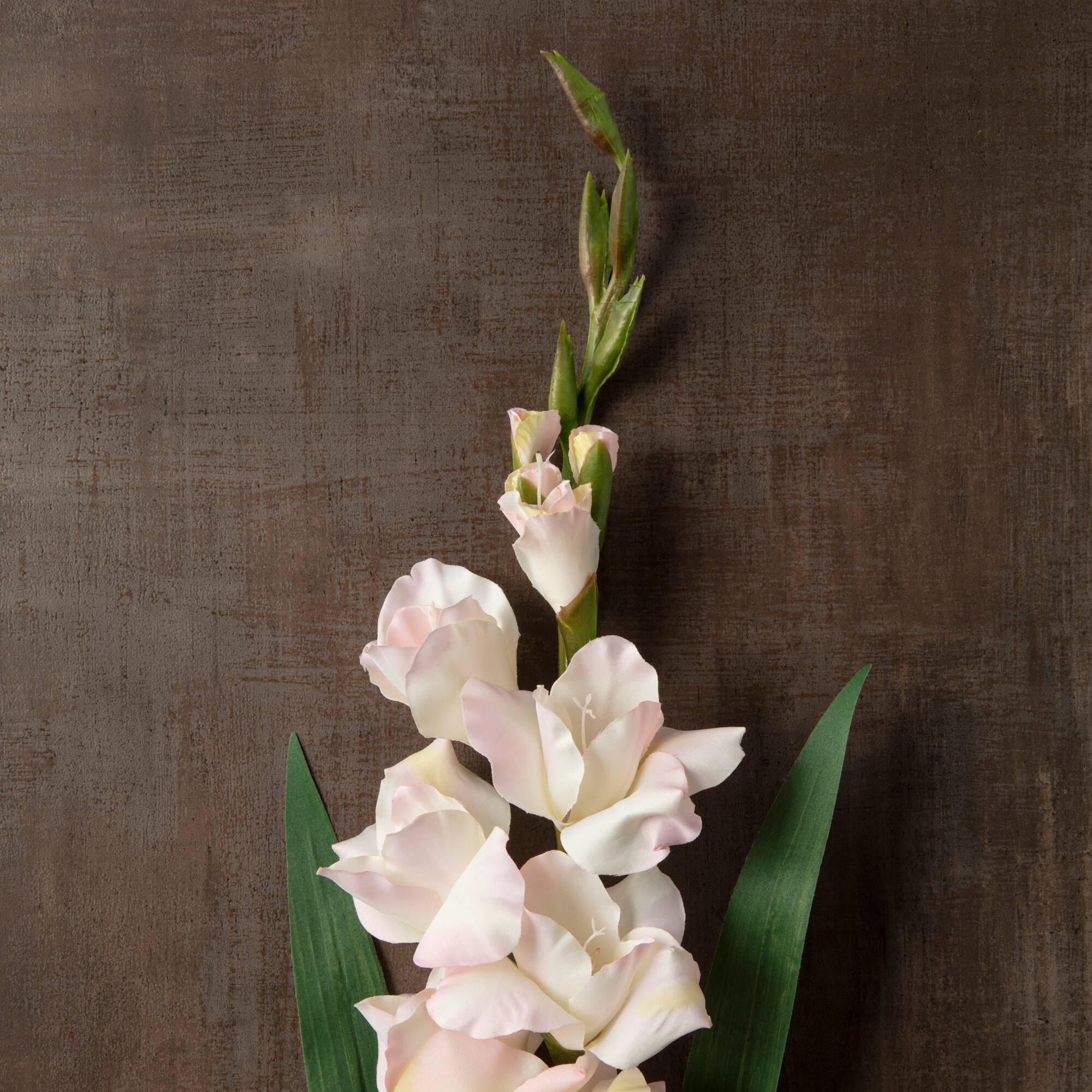 12 Pack: White Gladiolus Stem by Ashland®